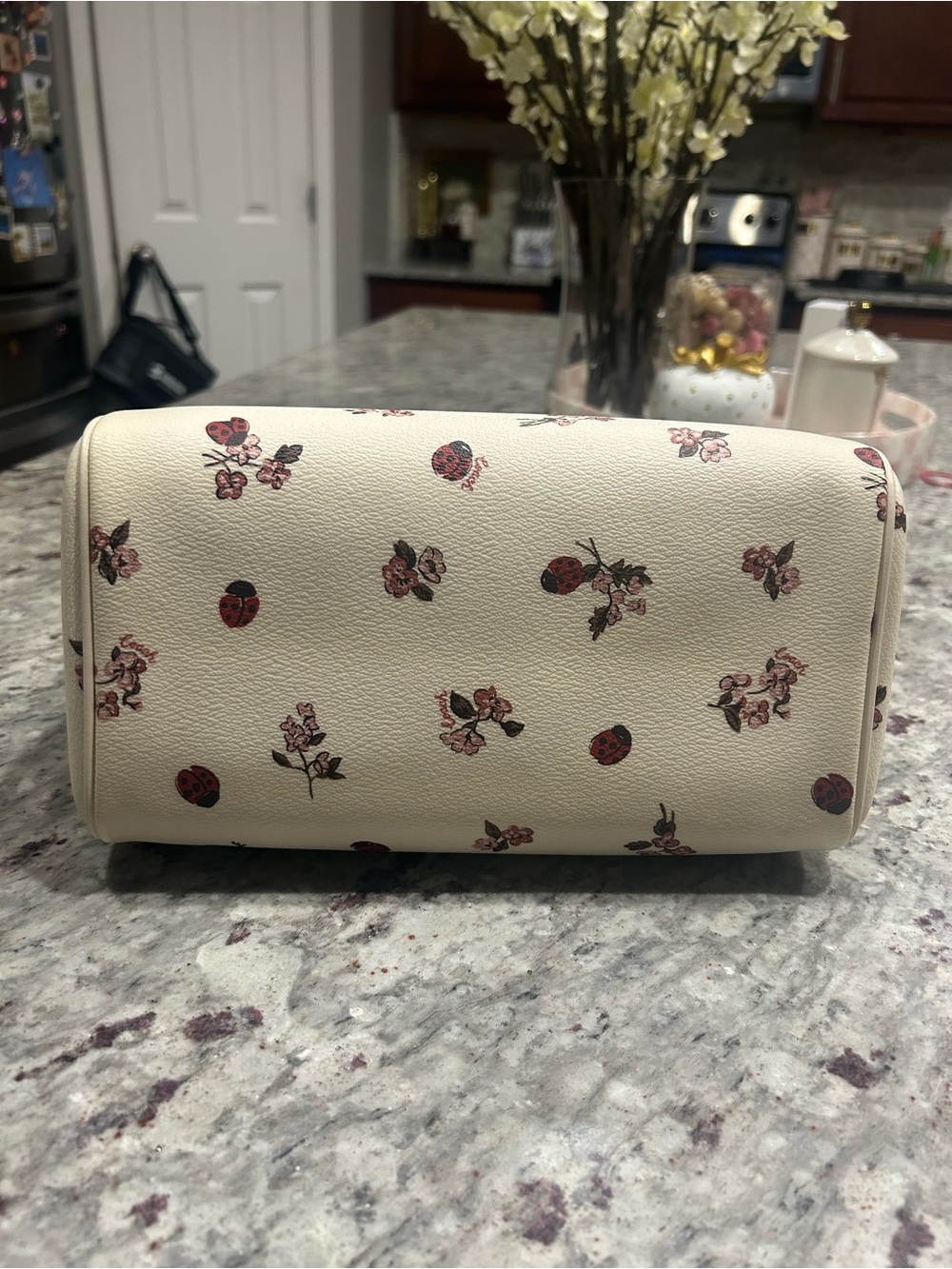 Coach Cream Satchel with Floral and Ladybug Motif - Picture 7 of 7